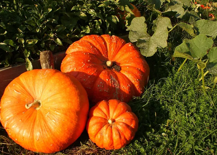 Hotel Biohof Naturzeit Faaker