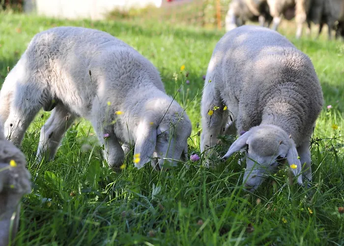 Biohof Naturzeit Faaker