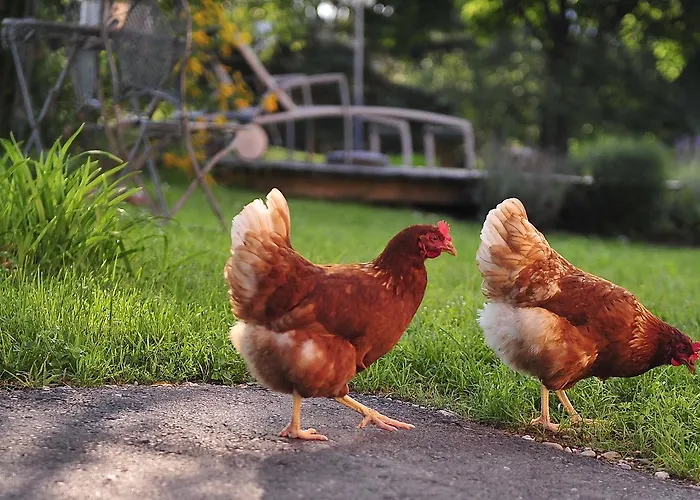 Biohof Naturzeit Faaker Drobollach am Faakersee