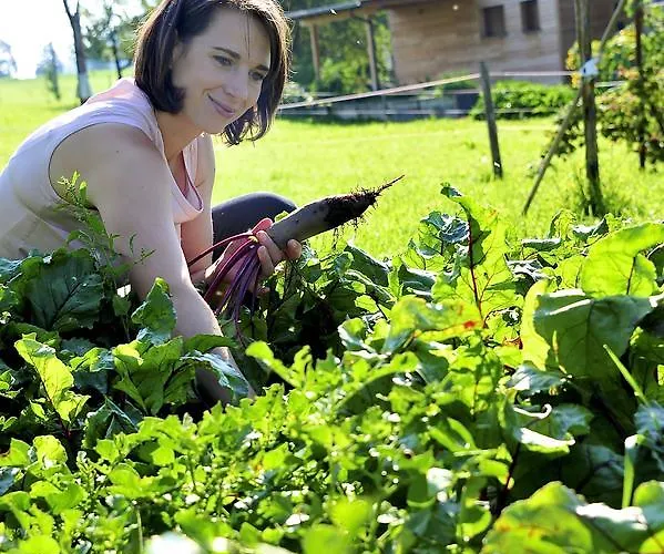 Hotel Biohof Naturzeit Faaker Drobollach am Faakersee