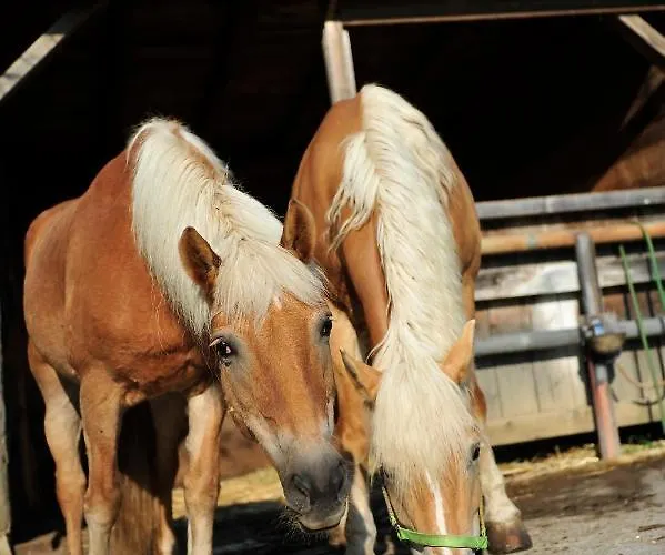 Hotel Biohof Naturzeit Faaker Drobollach am Faakersee